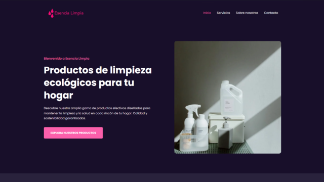 inicio-3